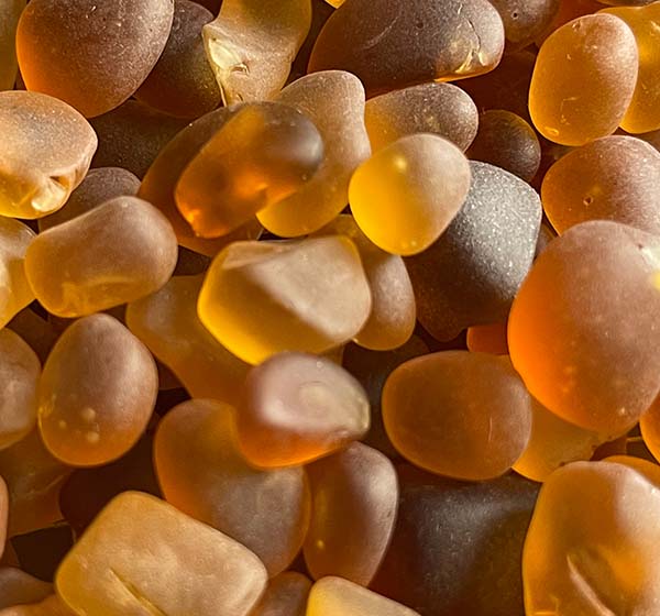 Tumbled Glass Amber Pieces in Bulk Love Sea Glass